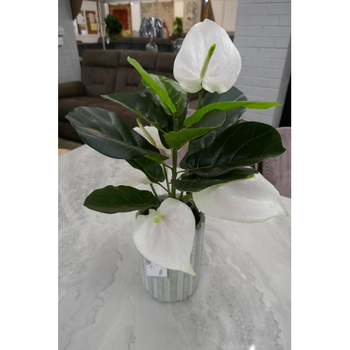 1329 - An artificial Anthurium and Ficus potted arrangement, H 50cms (54863117)   *This lot is subject to v... 