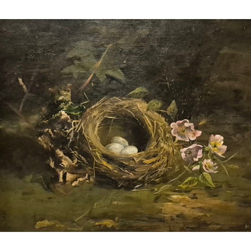 35 - English School (19th Century), still life with bird's nest and eggs, oil on board, 29 x 34cms, frame... 