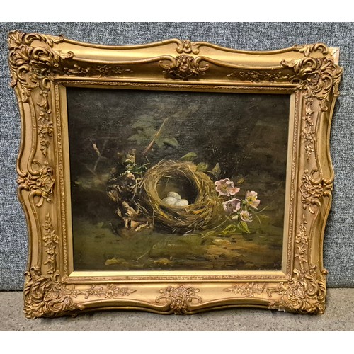 35 - English School (19th Century), still life with bird's nest and eggs, oil on board, 29 x 34cms, frame... 