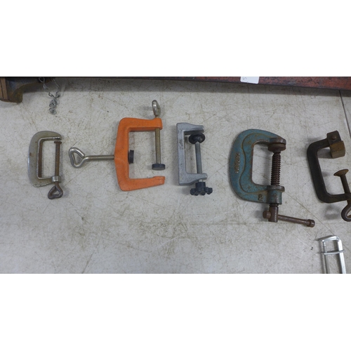 2037 - A quantity of assorted clamps including 2 sash clamps, 1 F-clamp and 11 G-clamps