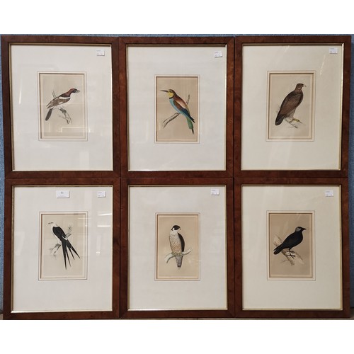 83 - A set of six 19th Century hand coloured ornithological engravings, framed