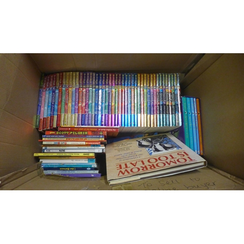 1091 - A set of Beast Quest novels, (48). The Worst Witch set of books and other childrens books **PLEASE N... 