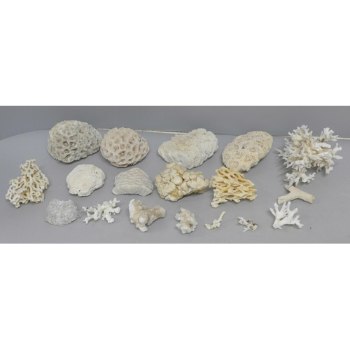 632 - A collection of reef coral, bleached