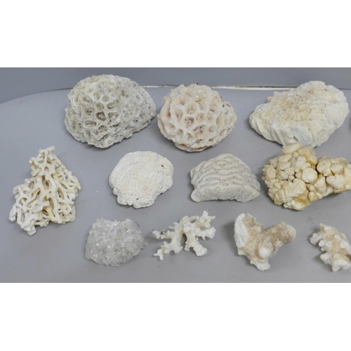 632 - A collection of reef coral, bleached