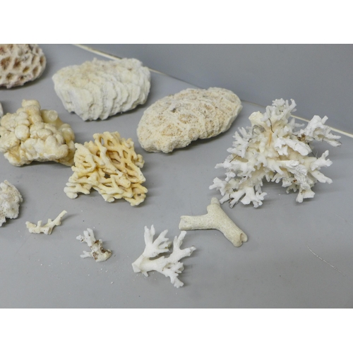 632 - A collection of reef coral, bleached