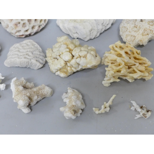 632 - A collection of reef coral, bleached