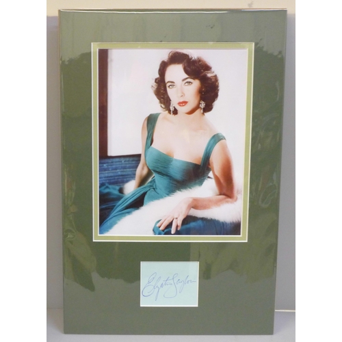 773 - An Elizabeth Taylor autographed display, (no COA)