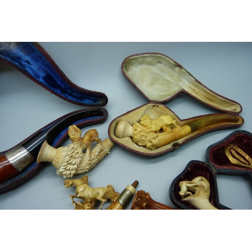 904 - A collection of six cased pipes, including one bowl with carved duck with frog, two pipe bowl and on... 