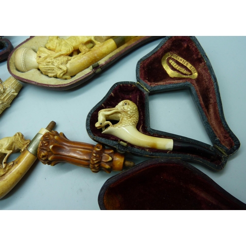 904 - A collection of six cased pipes, including one bowl with carved duck with frog, two pipe bowl and on... 