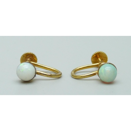 968 - A pair of 15ct gold and opal earrings, screw backs, 1.6g