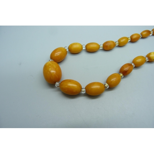 973 - A butterscotch amber graduated bead necklace interspersed with clear beads on a 9ct gold clasp, 23.4... 