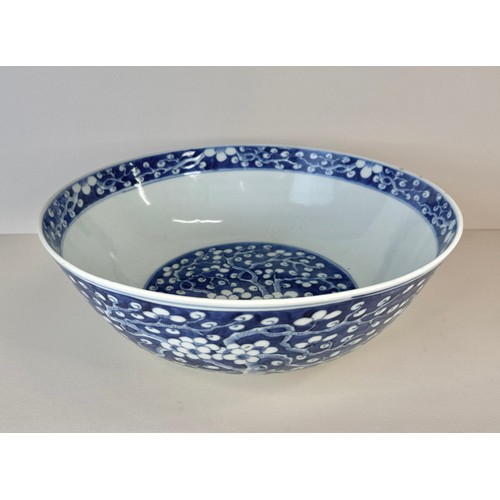 125 - A 19th Century Chinese porcelain bowl, with prunus decoration