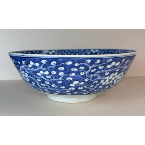 125 - A 19th Century Chinese porcelain bowl, with prunus decoration