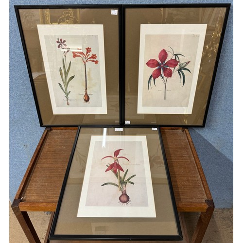 424 - Three botanical prints, framed