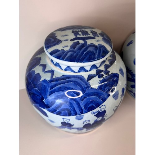 129 - A pair of large Chinese blue and white porcelain ginger jars and covers 24cms h