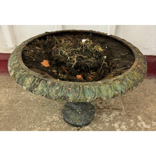 388 - A cast iron Tazza shaped garden urn