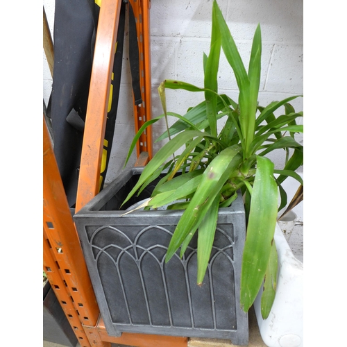 2173 - A selection of assorted garden planters and a large white ceramic Belfast sink