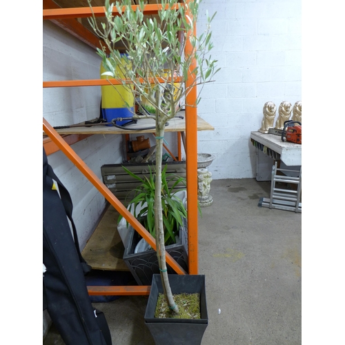 2173 - A selection of assorted garden planters and a large white ceramic Belfast sink