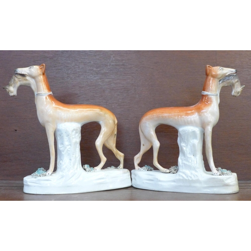 605 - A pair of Staffordshire figures of greyhounds