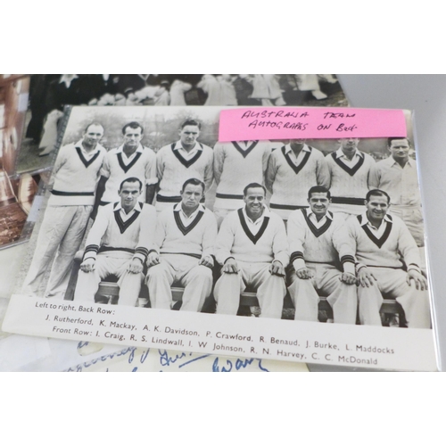 665 - Cricket memorabilia including three signed team  photographs (two printed, Nottinghamshire CC genuin... 