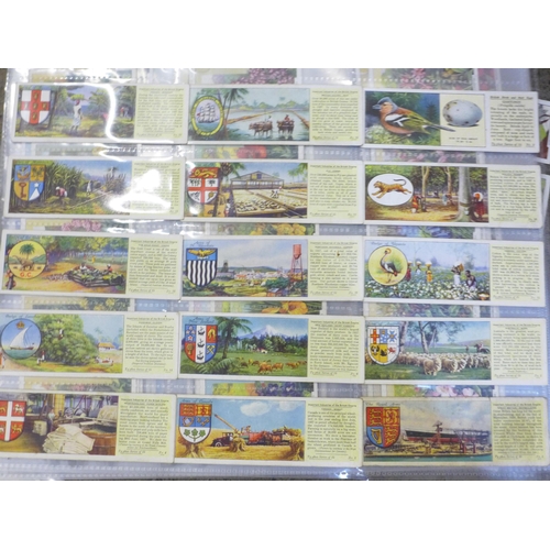 666 - A large quantity of cigarette cards including 28 John Player complete albums