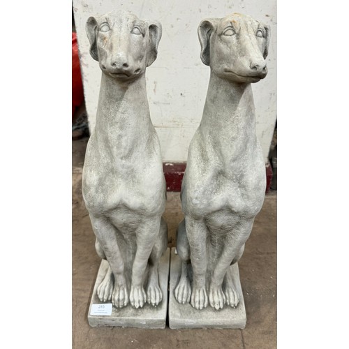 285 - A pair of concrete garden figures of seated greyhounds