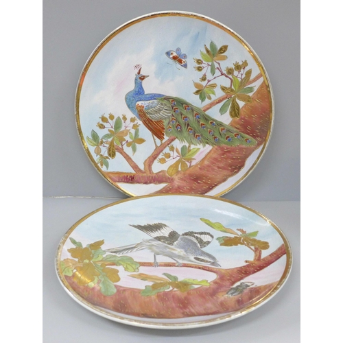 607 - A pair of large Majolica plaques, Jay and Peacock, 34cm