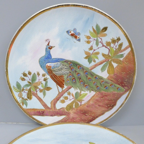 607 - A pair of large Majolica plaques, Jay and Peacock, 34cm