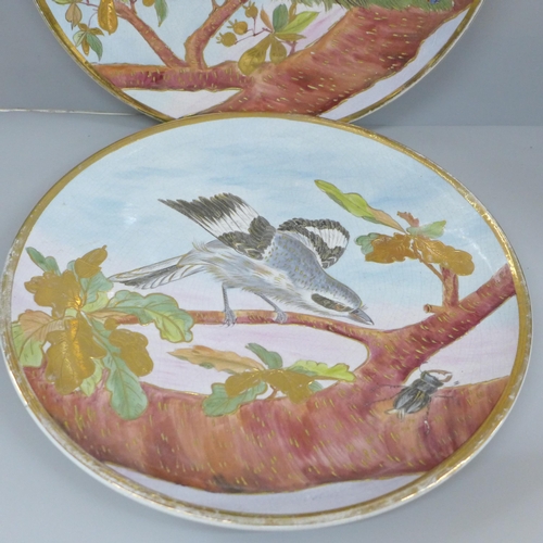 607 - A pair of large Majolica plaques, Jay and Peacock, 34cm