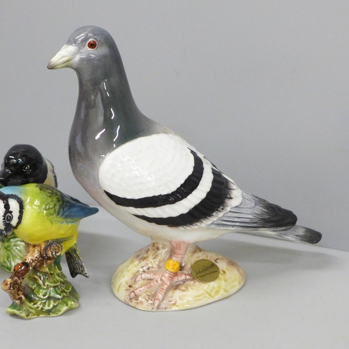 637 - Four Beswick model birds; Pigeon, Chaffinch, Blue Tit and Stonechat