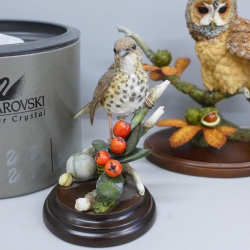 643 - A Swarovski glass toucan, a/f and three Country Artists birds; two owls and a mistlethrush