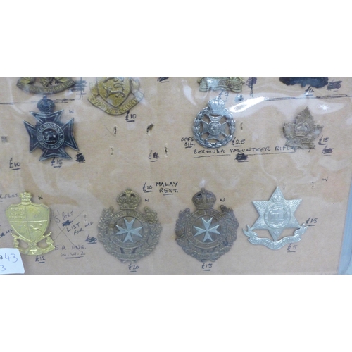 684 - A collection of twenty five Regimental cap badges