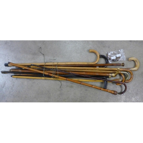 810 - Thirteen walking sticks/canes including four bamboo, one handle loose