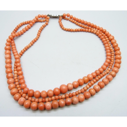 990 - A coral necklace with silver clasp, 51g