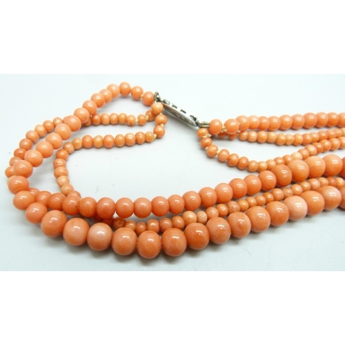 990 - A coral necklace with silver clasp, 51g