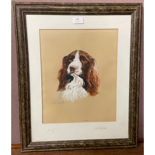 299 - A Janet Capella print, Springer Spaniel, framed