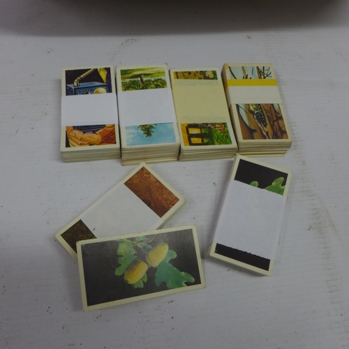 2065 - 100 Brooke Bone tea card sets