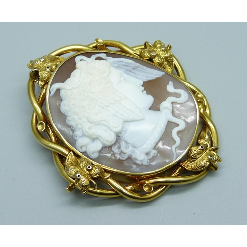 1005 - A Victorian yellow metal and carved Medusa cameo brooch, total weight 25.5g, 6cm wide