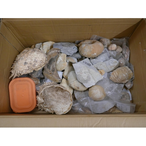 1089 - A box of mineral samples and fossils **PLEASE NOTE THIS LOT IS NOT ELIGIBLE FOR IN-HOUSE POSTING AND... 