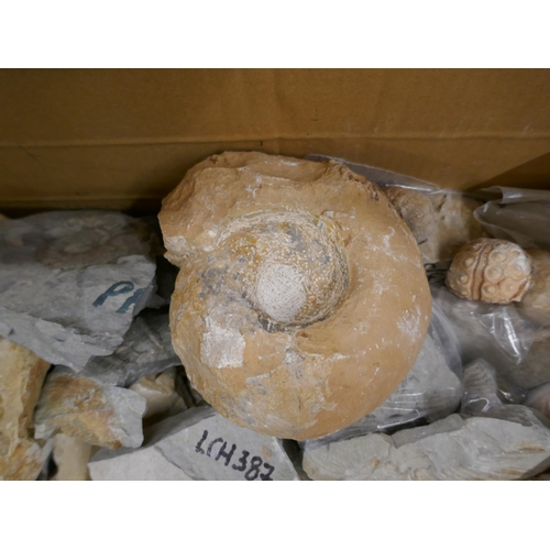 1089 - A box of mineral samples and fossils **PLEASE NOTE THIS LOT IS NOT ELIGIBLE FOR IN-HOUSE POSTING AND... 