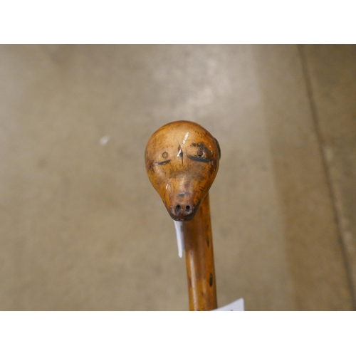 803 - A carved wooden walking stick with a dog's head top