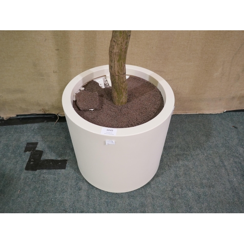 6049 - 6Ft Faux Olive Tree- Damaged Base , Original RRP £109.99 + vat (328-149)* This lot is subject to vat