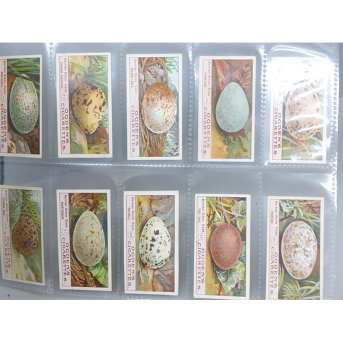 637 - Cigarette cards; 3 complete Ogdens sets, including British Birds 1st & 2nd, Birds Eggs (not cut-outs... 