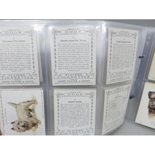 646 - Cigarette cards; six complete large sets, including Players, Aesop, Dogs 1st & 2nd; Wills, Old Londo... 