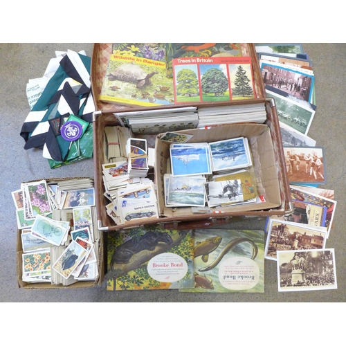 759 - A collection of cigarette and tea cards, albums and loose and Scout badges