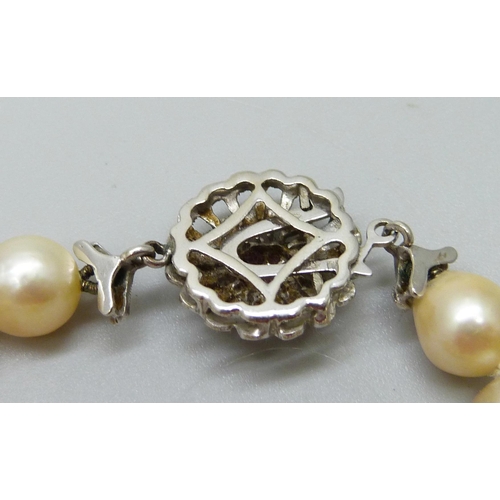 935 - A string of pearls with a white metal and ruby set flower cluster clasp, 76cm, 66g