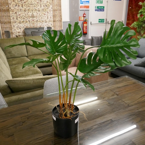 1320 - An artificial cheeseplant