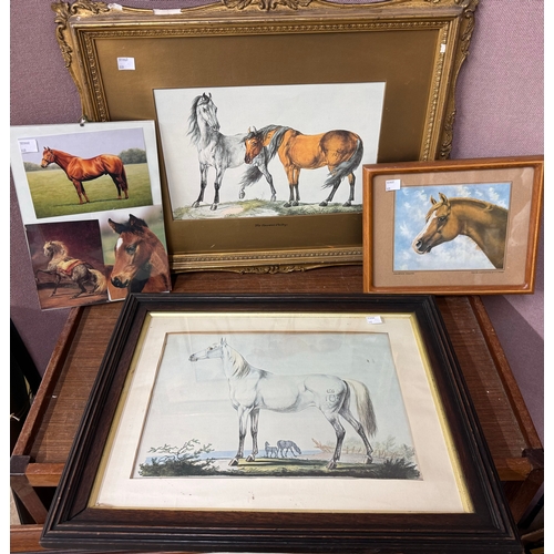 316 - Assorted equestrian related prints