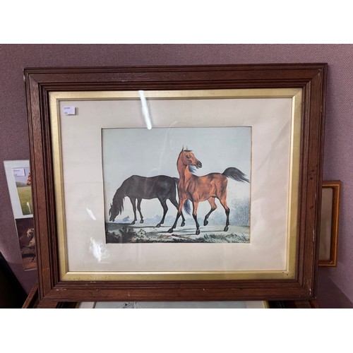 316 - Assorted equestrian related prints