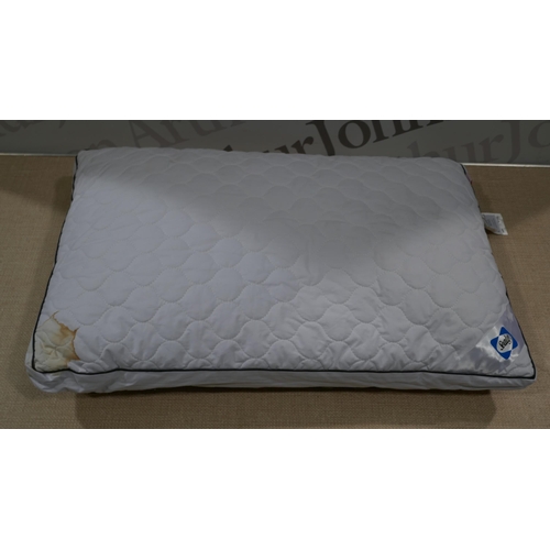 6253 - Two Sealy Side Sleeper pillows (Marked)    (329-167)   * This lot is subject to vat